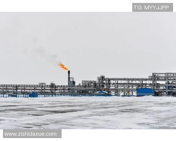 亚马尔地区的能源战略与全球气候变化的互动关系探讨