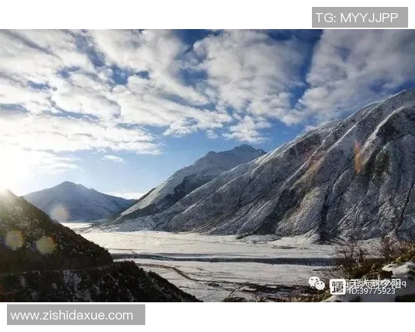 新泻天鹅与贝拉萨激战在即谁能在这场较量中笑到最后 新泻天鹅与贝拉萨激战在即谁能在这场较量中笑到最后