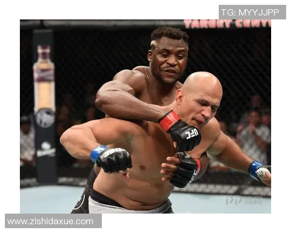 桑托斯与老虎大学激战在即谁将赢得这场精彩对决的胜利