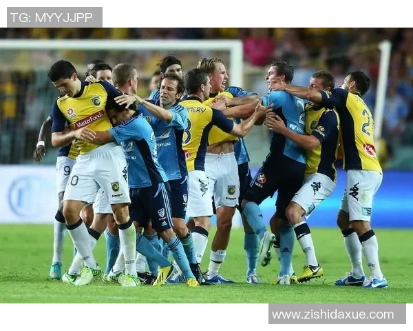 墨尔本城与新城堡联队的激烈对决揭示足球魅力与团队精神