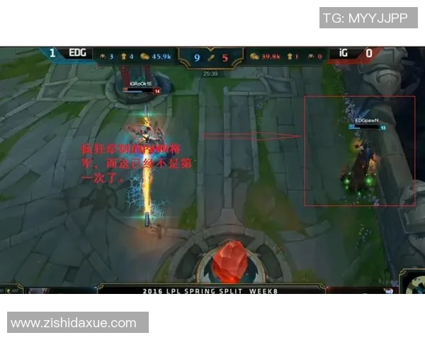 深入分析EDG战队进攻策略与战术执行的关键要素