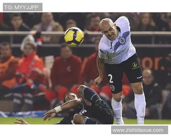 北京排球队在钻石联赛中的实力展现与未来发展潜力分析