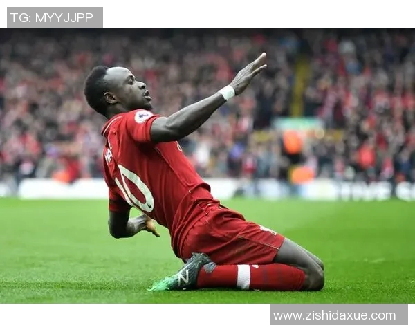 埃弗顿主场迎战莱斯特城双方争夺英超宝贵积分之战 埃弗顿主场迎战莱斯特城双方争夺英超宝贵积分之战