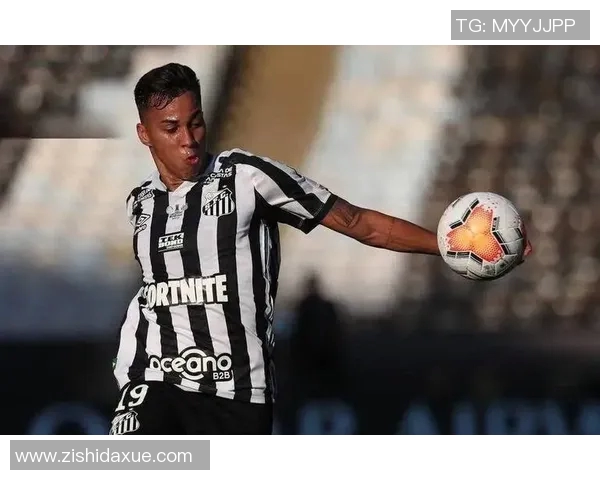 弗拉霍维奇：从新星崛起到顶级前锋的华丽转身与未来展望