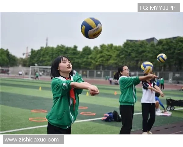 杨伟独家分享:深入探讨排球技巧与心得体会 杨伟独家分享:深入探讨排球技巧与心得体会