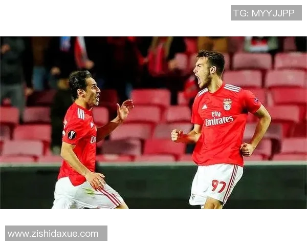 阿维斯对阵本菲卡精彩直播全程回顾与赛后分析