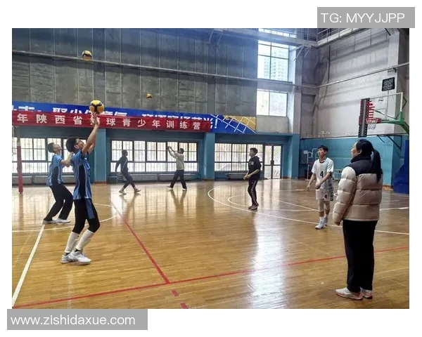 西安排球队状态表现分析与数据解读探讨